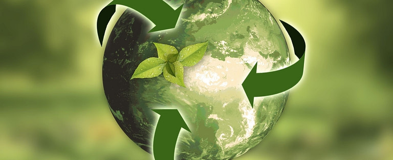ECO FRIENDLY PRODUCTS